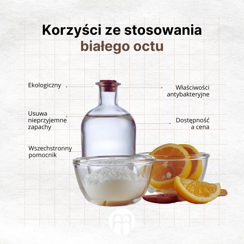 (Polština) - 2024-09-02T115229.789